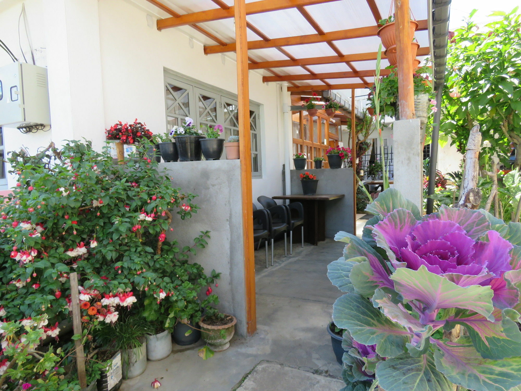 Carnation Rest Hotel นูวาราเอลิยา ภายนอก รูปภาพ